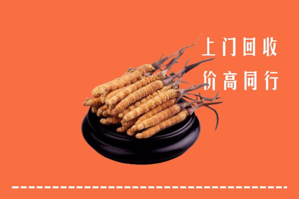 收购行情：城西区冬虫夏草回收多少钱每克
