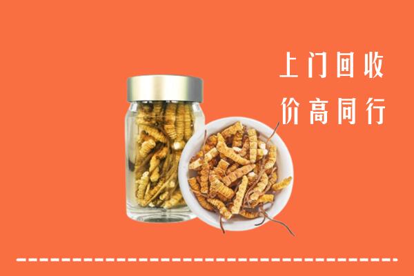 城西区回收冬虫夏草