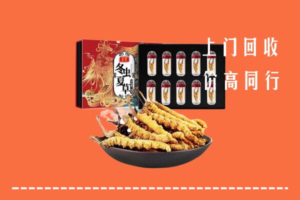 城西区回收虫草